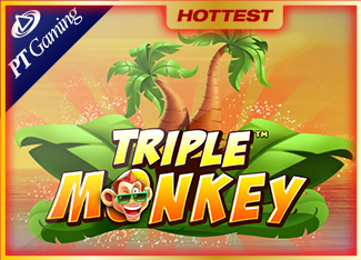 Triple Monkey